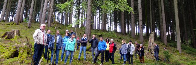 Waldbegehung 2019