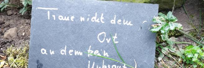 Kräuterwanderung 2023